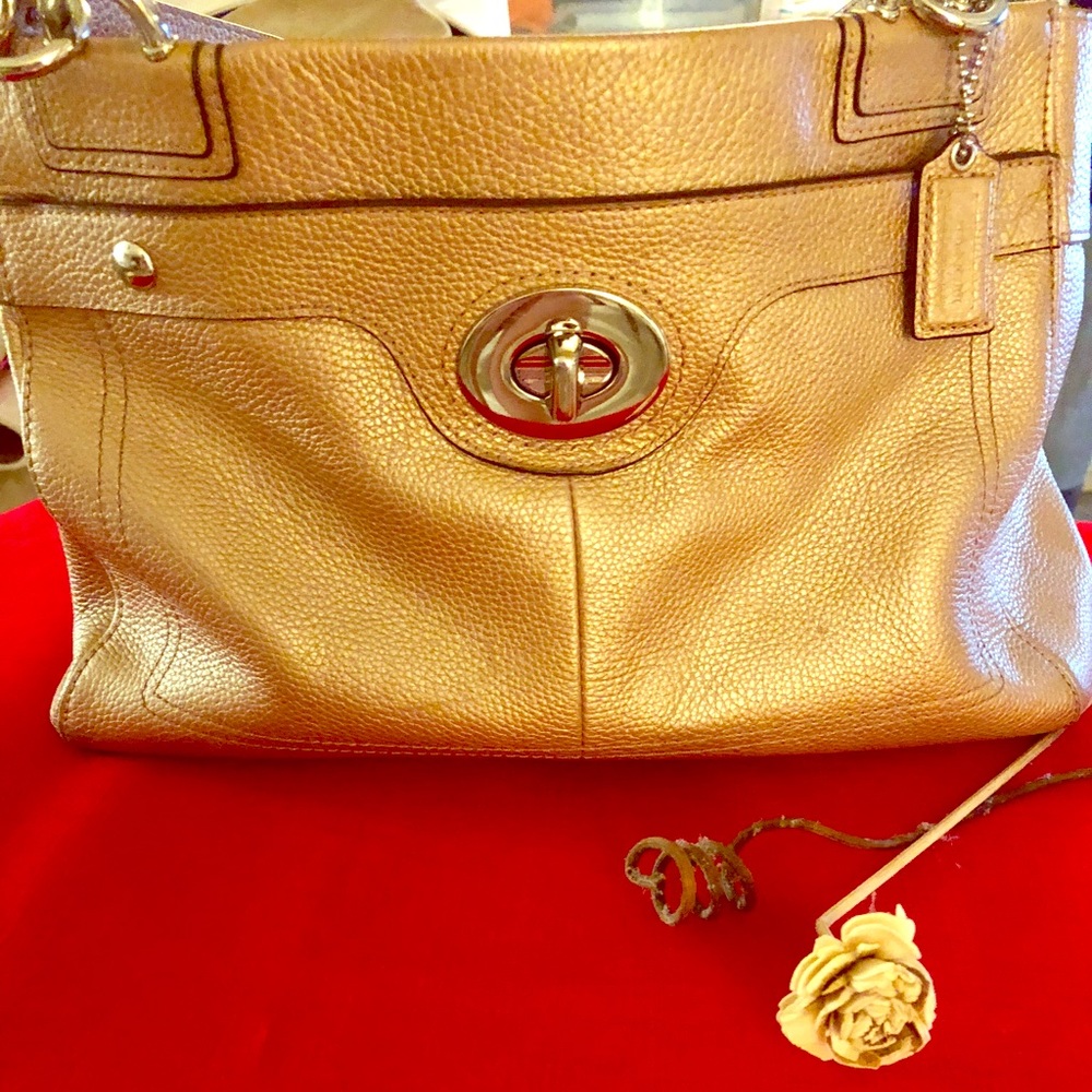 Coach Penelope Bag🖤